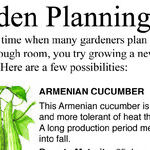 Try New Vegetables and Popcorn