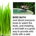 Earth Day Tips