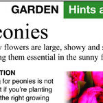 Peony and Tree Problems