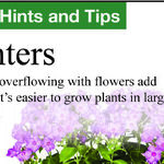 Waterlogged Barrel Planter