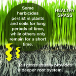 Fall Landscaper Questions