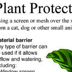 Cats Versus Flowerpots