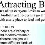 Attracting Cardinals to My Bird Feeder