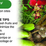 Garden Resolutions