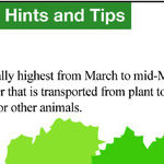 Can Trees Be Male or Female?