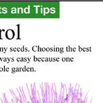 Thistles and Fire Blight