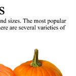 Pumpkin Substitutes