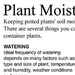 Watering Houseplants