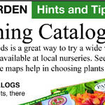 Vegetable Garden Seeds