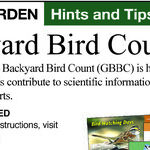 Great Backyard Bird Count