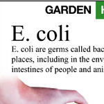 E. Coli vs. Vegetables