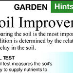 Don't Treat Soil Like Dirt
