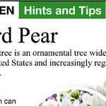 Kansas Is Banning Bradford Pears