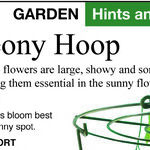 Floppy Perennials, Holey Vegetables and Wet Soil Gardening