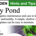 Water Garden Gravel: Yes or No?