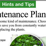 No-Prune Landscape