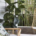 Summer Rooms