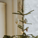 Year of the Charlie Brown Christmas Tree