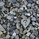 Core Questions (Part 3)