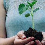 Connectedness: Putting Down Roots