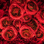 Valentine