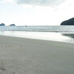 Exercises in Singleness