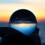 Looking to the Future