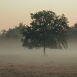 Undependence (Part 1)