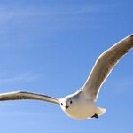 Disarming A Negative Past To Create A Positive Future