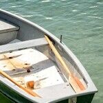 Lifeboat Mindset Can Save You From Sinking