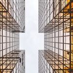 Bad Client Inspired a Career Change
