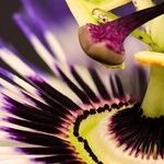 Reigniting Lost Passion Is Possible