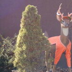 Deer Valued More Than Dear?