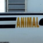 Animal Farm