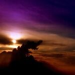 Depression, Dementia and Drama, Oh, My!