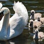 Happy Mother's Day!