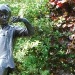 Modern Peter Pan