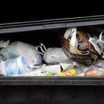 Dumpster Diving
