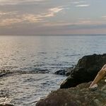 Your Resentment Is Hurting You