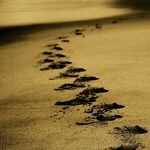 Does 'Trapped' Have to Stay Trapped?