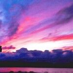 'Almost Perfect' Says Life Is Almost Better