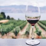 Sometimes in Vino, There's Just Vino