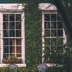 What to Save, What to Keep
