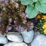 The Best Inexpensive Gadgets and Gear for a Do-it-Yourself Garden