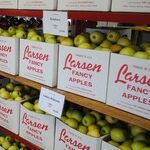 How to Win Big with a Warehouse Club Membership