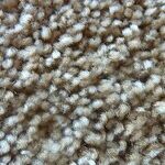 Got a Carpet Stain? Twist it Out