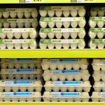 Confused by Food Product Dating? Yes, We Are!