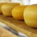 The Art of the Grilled Cheese Sandwich