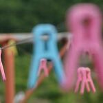 How a Simple Solution Changed Everything for One Family