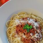 Best Inexpensive Small Kitchen Appliances